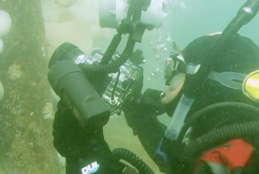 Hershman photographing