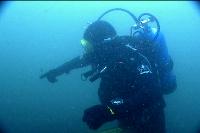 Diver pointing underwater